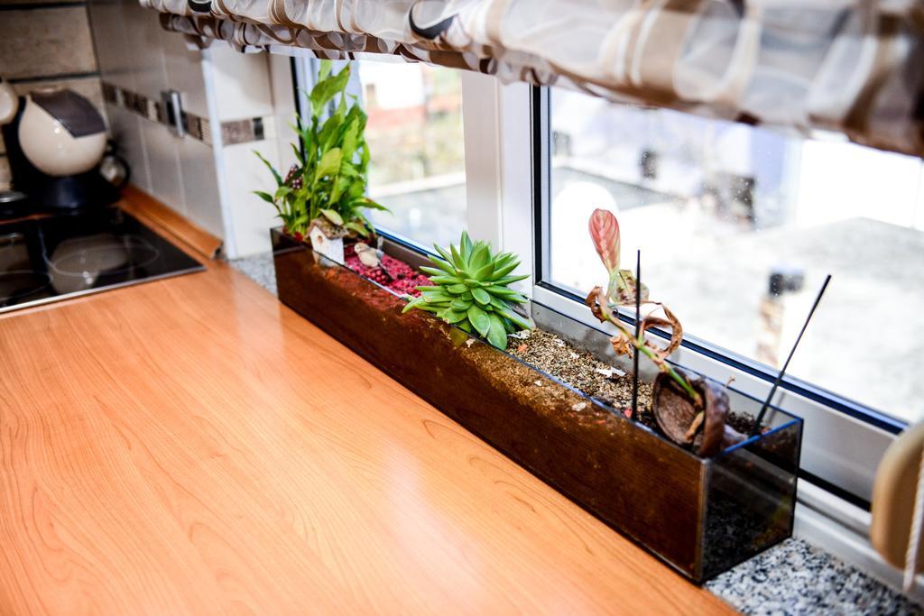 Apartman Ksenija Zadar Exteriör bild